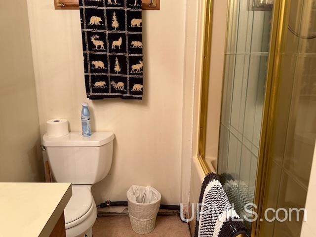 325 Mastodon Rd, Crystal Falls, MI 49920 - bathroom with vanity, toilet, and baseboards
