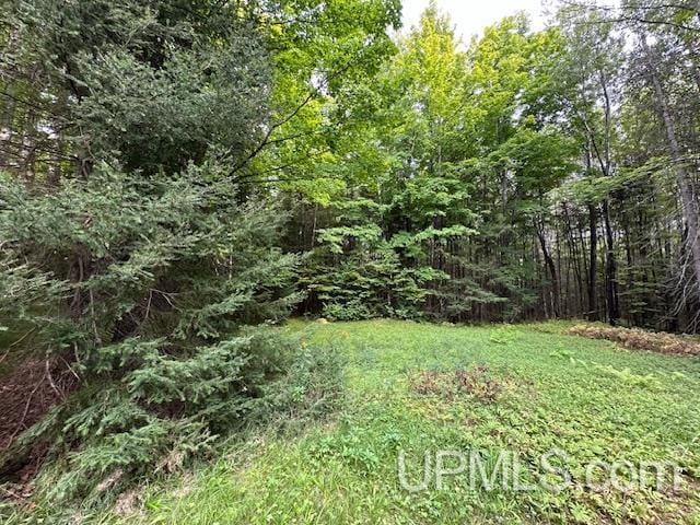 325 Mastodon Rd, Crystal Falls, MI 49920 - view of grassy yard featuring a wooded view