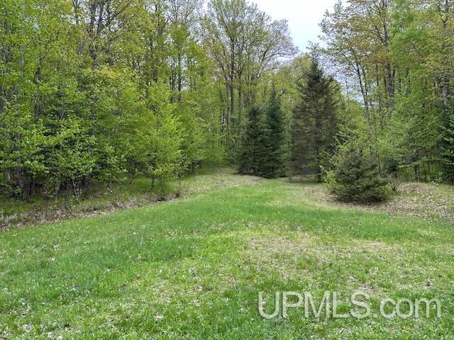 325 Mastodon Rd, Crystal Falls, MI 49920 - view of woods