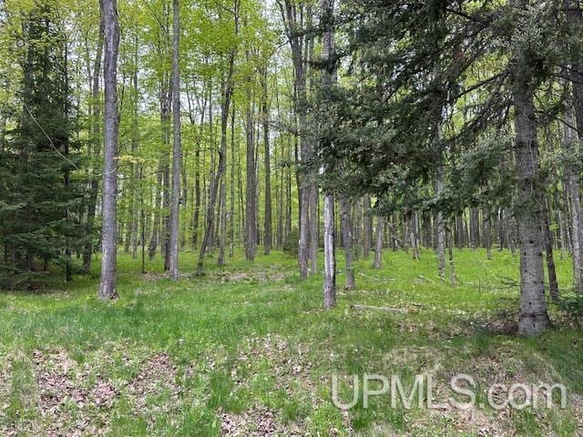 325 Mastodon Rd, Crystal Falls, MI 49920 - view of wooded area