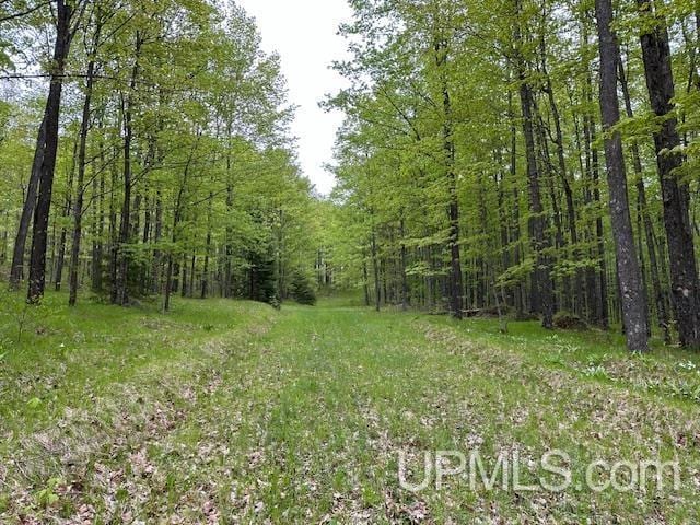 325 Mastodon Rd, Crystal Falls, MI 49920 - view of woods