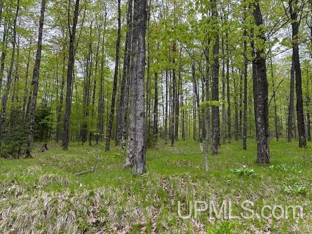 325 Mastodon Rd, Crystal Falls, MI 49920 - view of woods