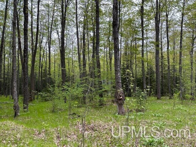 325 Mastodon Rd, Crystal Falls, MI 49920 - view of wooded area