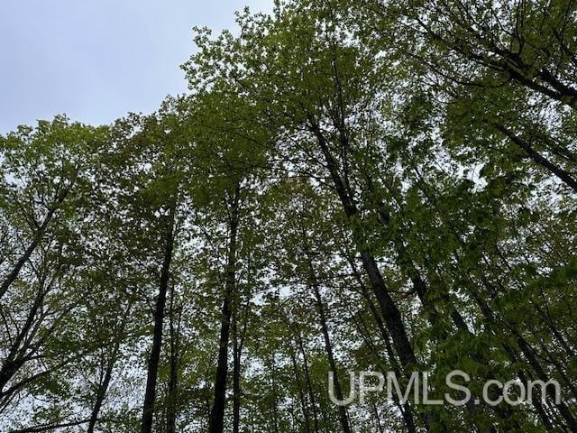 325 Mastodon Rd, Crystal Falls, MI 49920 - view of undeveloped land