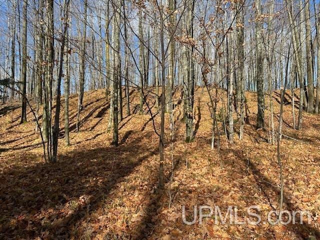 325 Mastodon Rd, Crystal Falls, MI 49920 - view of nature