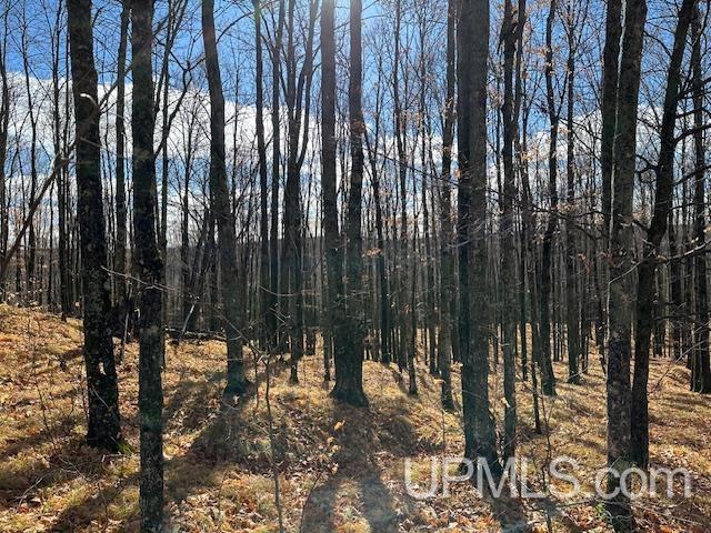 325 Mastodon Rd, Crystal Falls, MI 49920 - view of nature