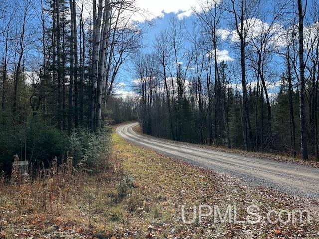325 Mastodon Rd, Crystal Falls, MI 49920 - view of dirt / gravel road featuring a forest view