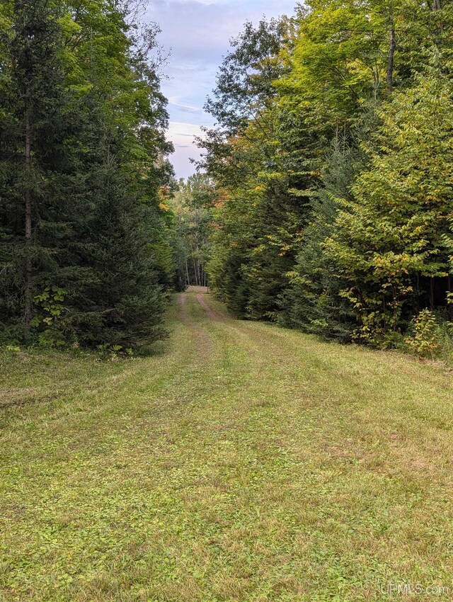 325 Mastodon Rd, Crystal Falls, MI 49920 - view of yard with a forest view