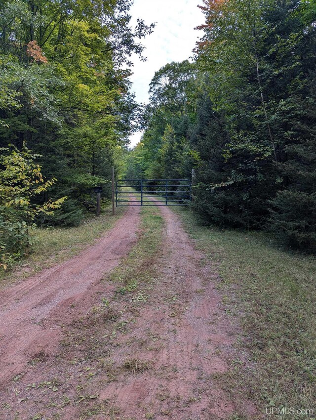 325 Mastodon Rd, Crystal Falls, MI 49920 - view of dirt / gravel road with a gate and a view of trees