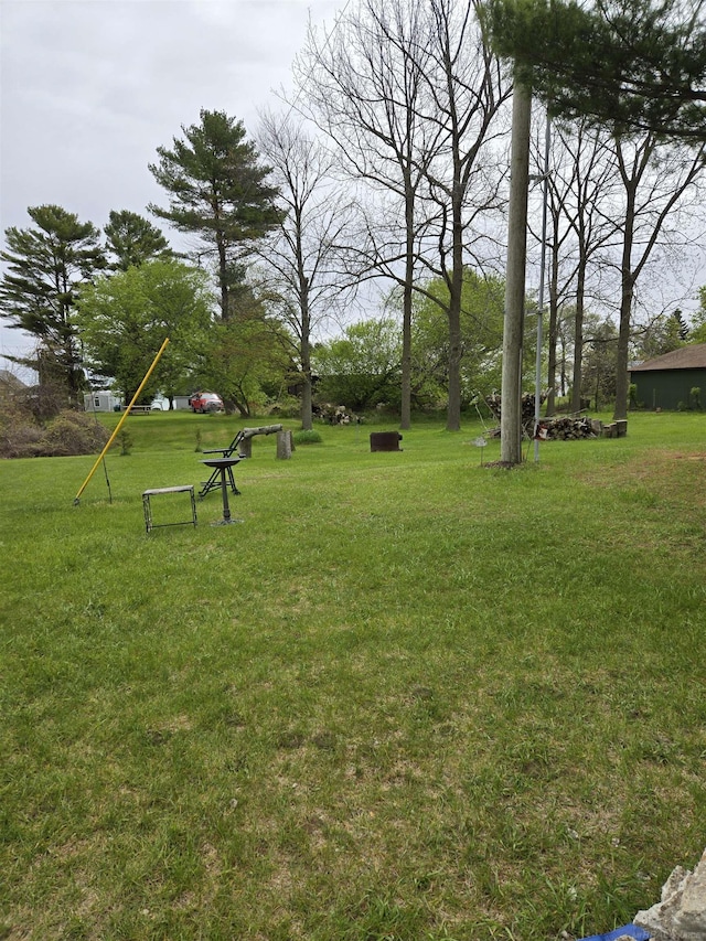 2450 N Lakeshore Rd, Carsonville, MI 48419 - view of community featuring a yard