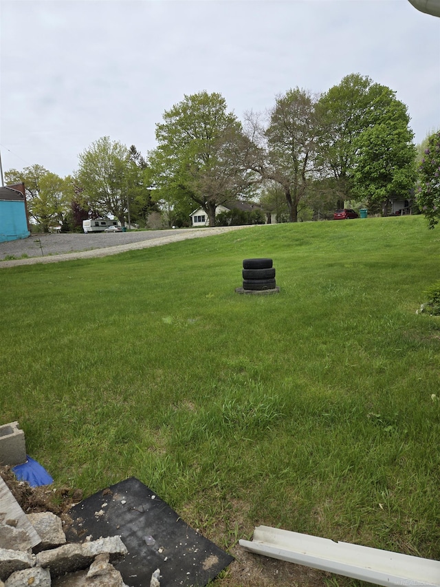 2450 N Lakeshore Rd, Carsonville, MI 48419 - view of grassy yard