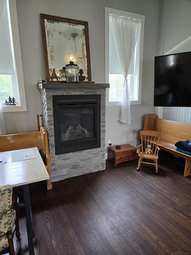 2450 N Lakeshore Rd, Carsonville, MI 48419 - living room with dark wood-style floors, a stone fireplace, and plenty of natural light