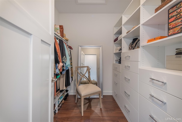 776 S Lakeshore Blvd, Marquette, MI 49855 - walk in closet featuring dark wood-style floors