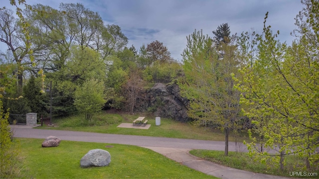 776 S Lakeshore Blvd, Marquette, MI 49855 - view of home's community featuring a lawn