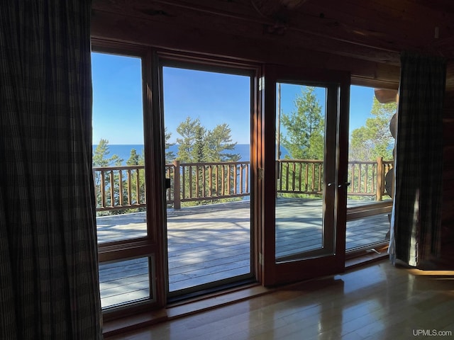 6856 Five Mile Point Rd, Allouez, MI 49805 - doorway with plenty of natural light and hardwood / wood-style floors