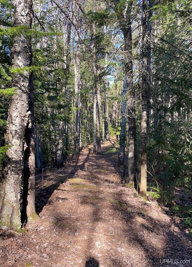 6856 Five Mile Point Rd, Allouez, MI 49805 - view of street featuring a forest view