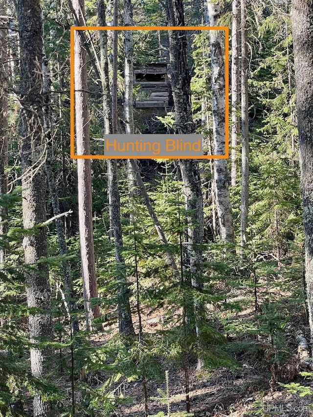 6856 Five Mile Point Rd, Allouez, MI 49805 - view of tree filled area