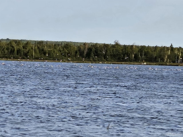 51993 Rice Lake Rd, Lake Linden, MI 49945 - water view