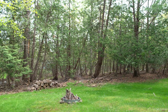 1001 Spruce St, Houghton, MI 49931 - view of green lawn with a wooded view