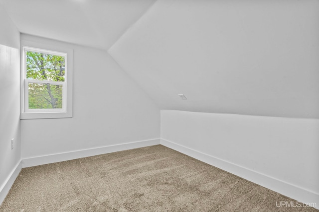 49058 Douglas St, Hancock, MI 49930 - additional living space featuring vaulted ceiling, carpet, and baseboards