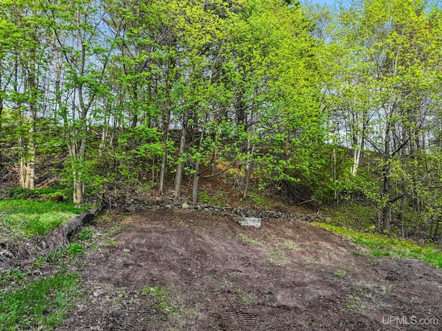49058 Douglas St, Hancock, MI 49930 - view of yard
