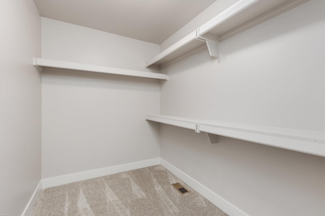 29126 Brooke Meadows Ct, Chesterfield, MI 48047 - walk in closet featuring carpet