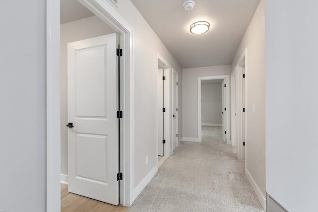 29126 Brooke Meadows Ct, Chesterfield, MI 48047 - corridor featuring baseboards and light colored carpet