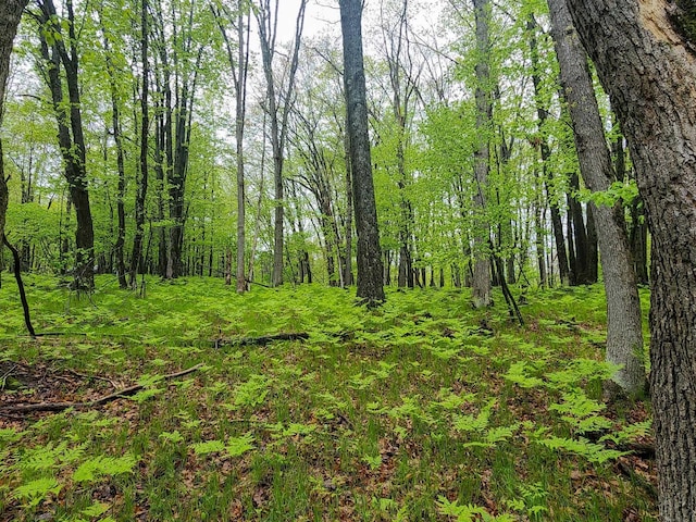 LOT606 Timber Rd, Farwell, MI 48622