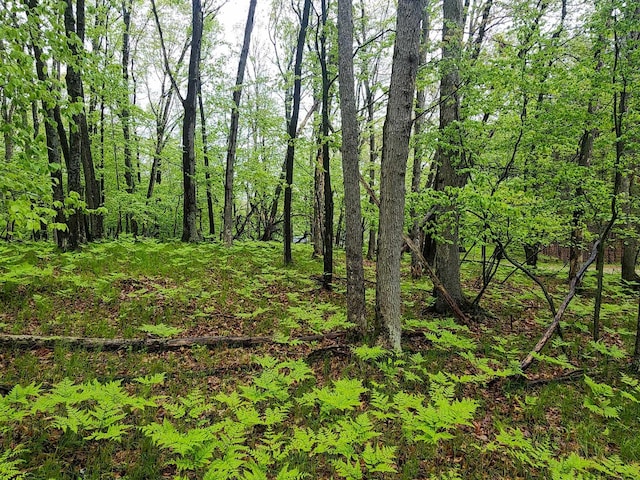 LOT606 Timber Rd, Farwell, MI 48622