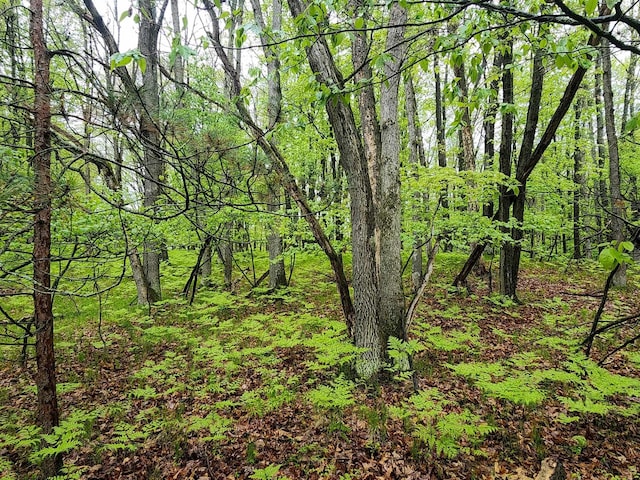 LOT606 Timber Rd, Farwell, MI 48622