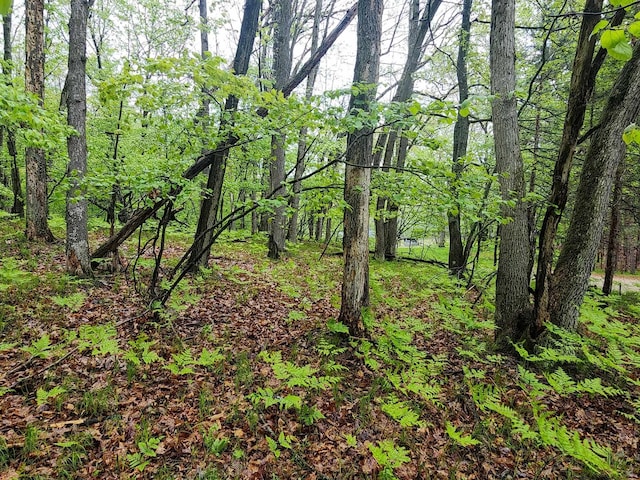 LOT606 Timber Rd, Farwell, MI 48622