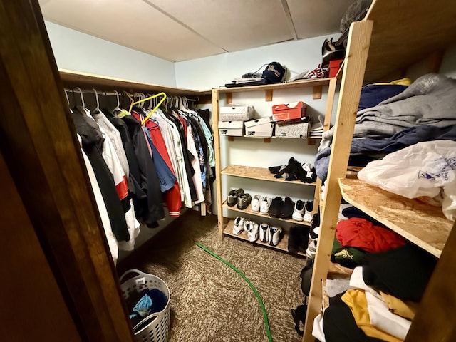 2222 Compton St, Saginaw, MI 48602 - walk in closet with carpet