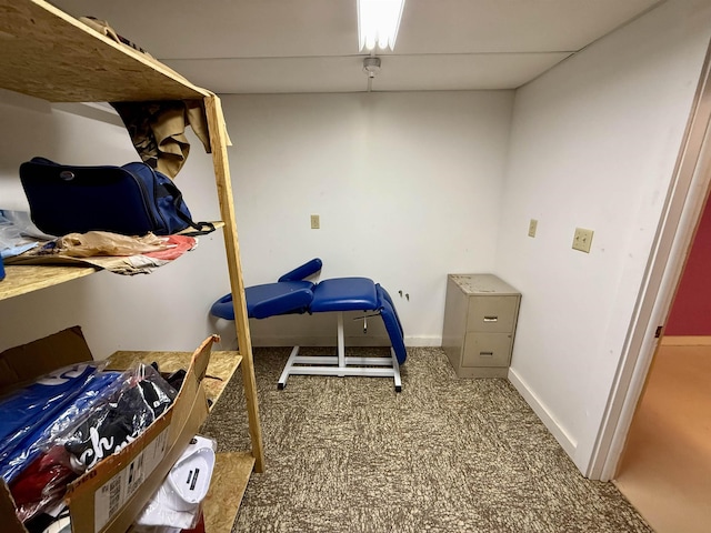 2222 Compton St, Saginaw, MI 48602 - view of storage area