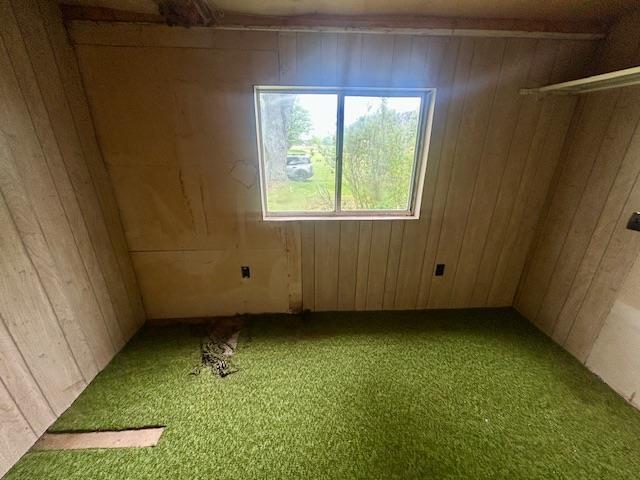4992 Freeman Rd, Beaverton, MI 48612 - empty room with carpet floors and wooden walls