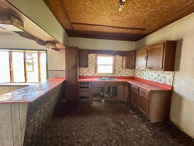 4992 Freeman Rd, Beaverton, MI 48612 - kitchen with a peninsula, a sink, and wainscoting