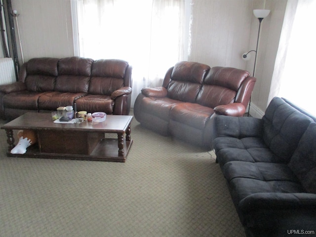 405 W S Ave Unit 1, Houghton, MI 49931 - carpeted living area with radiator heating unit