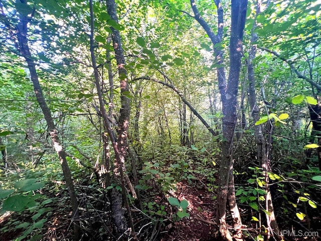 TBD Green Acres Rd, Houghton, MI 49931