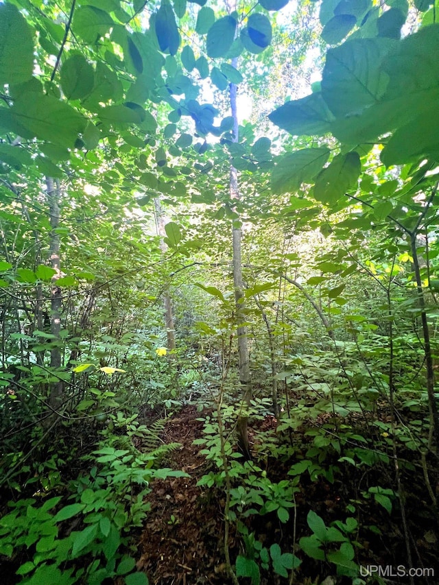 TBD Green Acres Rd, Houghton, MI 49931