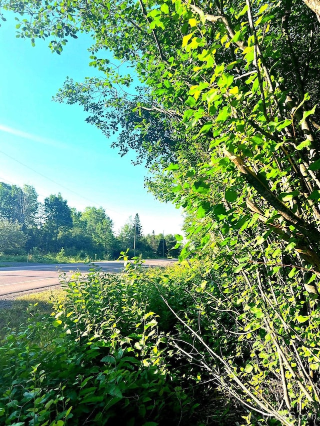 TBD Green Acres Rd, Houghton, MI 49931