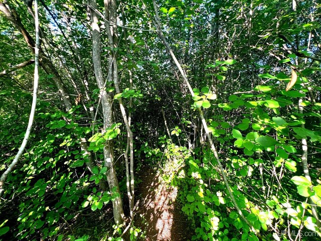 TBD Green Acres Rd, Houghton, MI 49931
