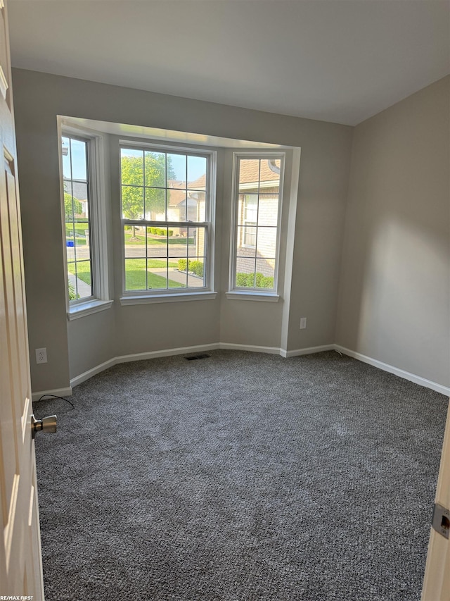 16180 Scenic Dr, Clinton, MI 48038 - carpeted spare room featuring healthy amount of natural light and baseboards