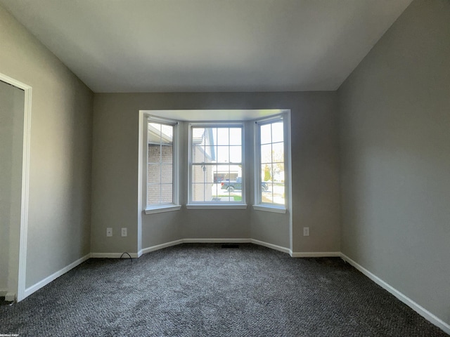 16180 Scenic Dr, Clinton, MI 48038 - spare room with dark colored carpet and baseboards