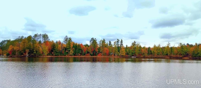 510 S Mackinac Ln, Gwinn, MI 49841 - water view featuring a forest
