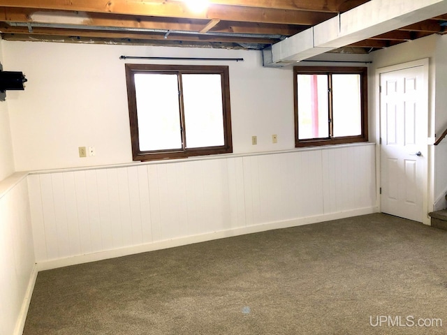 510 S Mackinac Ln, Gwinn, MI 49841 - below grade area with carpet floors and a wainscoted wall
