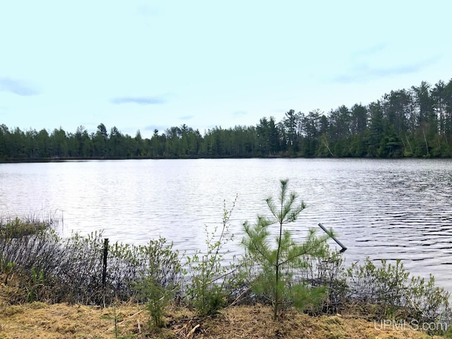 510 S Mackinac Ln, Gwinn, MI 49841 - water view featuring a heavily wooded area