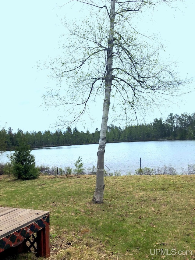 510 S Mackinac Ln, Gwinn, MI 49841 - water view with a heavily wooded area