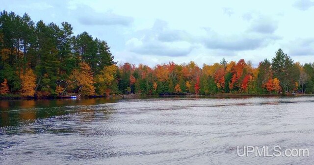 510 S Mackinac Ln, Gwinn, MI 49841 - water view with a forest