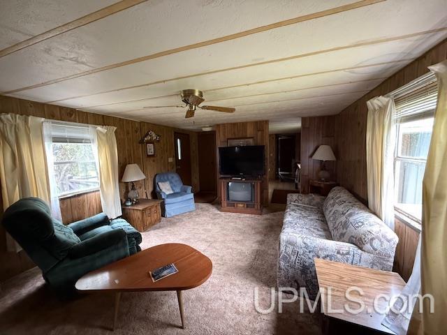 11843 Howen Rd, Long Lake T-Wi, WI 54542 - living room featuring light colored carpet, wooden walls, and ceiling fan