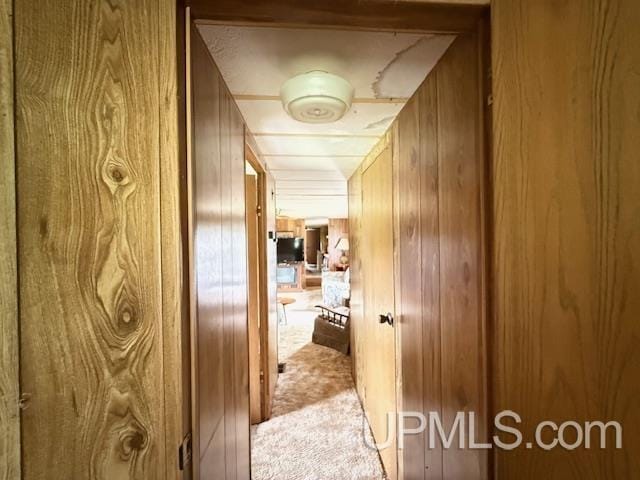 11843 Howen Rd, Long Lake T-Wi, WI 54542 - corridor with light colored carpet