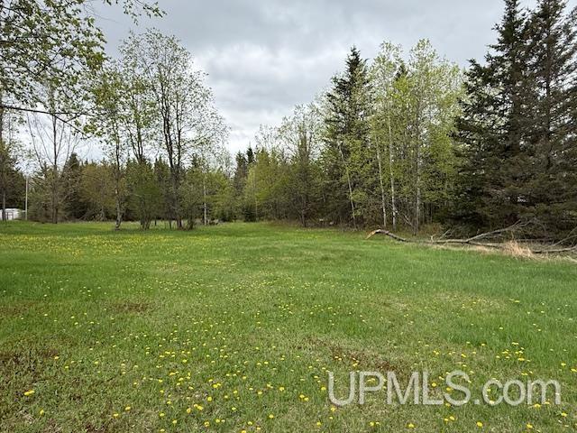11843 Howen Rd, Long Lake T-Wi, WI 54542 - view of yard with a wooded view